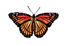 Avatar de panthera26