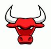 Avatar de bulls