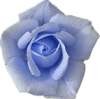 Avatar de chloe60