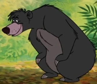 Avatar de teddy