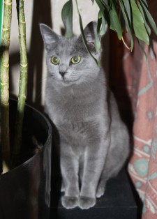 Avatar de Philatelle