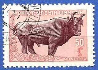timbre: Mongolian Cattle (Bos primigenius taurus) Taureau