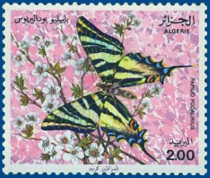timbre: Papillon (Papilio Podalirius)