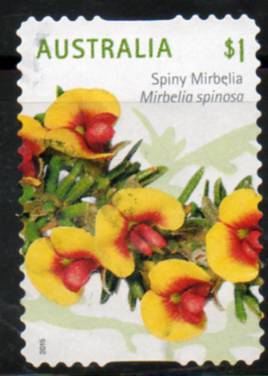 timbre: Fleurs : Mirbella spinosa 