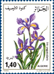 timbre: Fleurs diverses ( Iris )