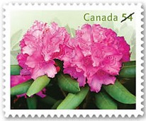 timbre: Rhododendron rouge - du livret - adh