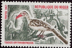 timbre: Oiseaux : tockus erythrorhynchus