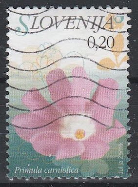 timbre: Carniolan Primrose (Primula carniolica) primevère