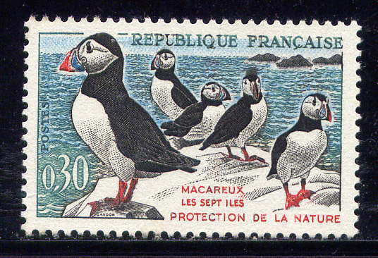 timbre: Oiseaux - Macareux Moines variété