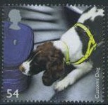 timbre: Springer spaniel utilisé par les douaniers