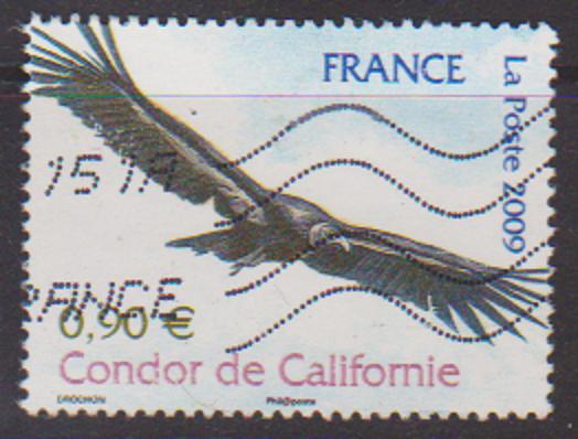 timbre: Condor de Californie