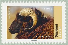 timbre: Animaux de la ferme - Bélier d'Ouessant