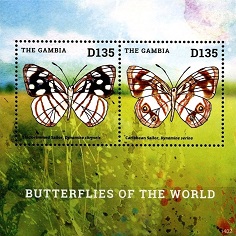 Timbre: Dynamine chryseis et Dynamine serina  - BLOC