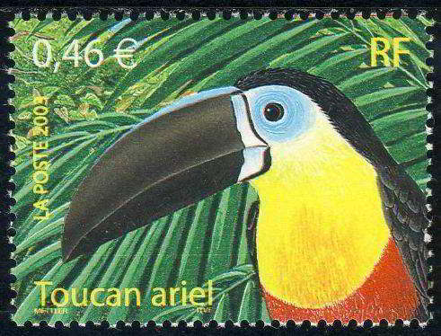 Timbre: Oiseaux d'outre-mer: Toucan ariel :