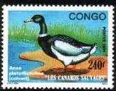 Timbre: Canard sauvage : colvert
