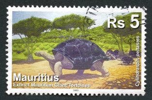 Timbre: Tortue g&eacute;ante cylindraspis peltastes//