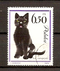 Timbre: Chat noir