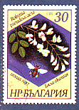 Timbre: Rubinia pseudoacacia