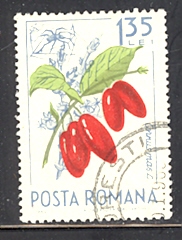 Timbre: Drupes rouges