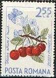 Timbre: Fruits de la for&ecirc;t.  griottes