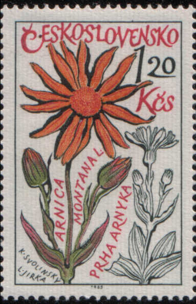 Timbre: Fleurs Arnica montana L.