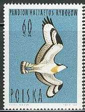 Timbre: Balbuzard  p&ecirc;cheur  (Pandion haliaetus)