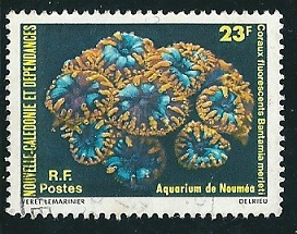 Timbre: Coraux fluorescents