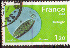 Timbre: Biologie