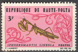 Timbre: Mante - religieuse