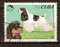 Timbre: Cocker américain