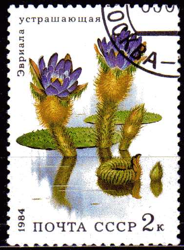 Timbre: Plantes aquatiques -   n&eacute;nuphar violet