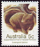 Timbre: Wombat &agrave; nez poilu du nord