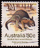 Timbre: Onychogale brid&eacute; (wallaby brid&eacute;).