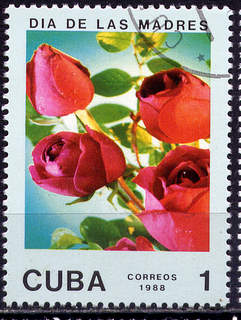 Timbre: Roses