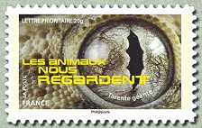 Timbre: Les animaux nous regardent : Tarente g&eacute;ante