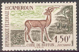 Timbre: Cobe de Buffon