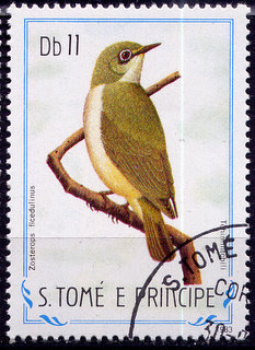 Timbre: Oiseau-lunettes de Principe
