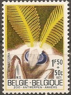 Timbre: Papillon de lune