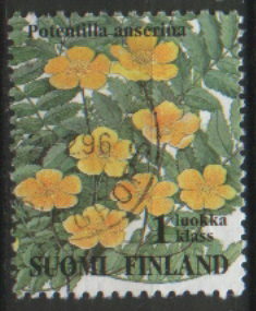 Timbre: Potentilla anserina