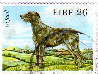 Timbre: L&eacute;vrier d'Irlande