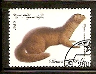 Timbre: Vison