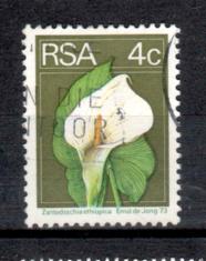 Timbre: Zantedeschia ethiopica