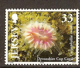 Timbre: Corail : caryophyllia smithii