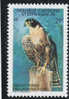 Timbre: Falco peregrinus nesiotes