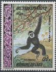 Timbre: Singe