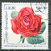 Timbre: Rose Izetka spreecathen