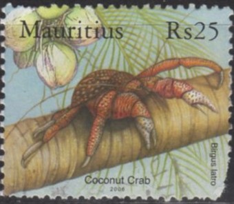 Timbre: Crabe de cocotier