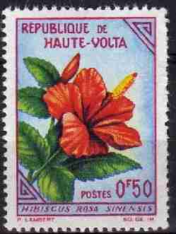 Timbre: Hibiscus rosa sinensis