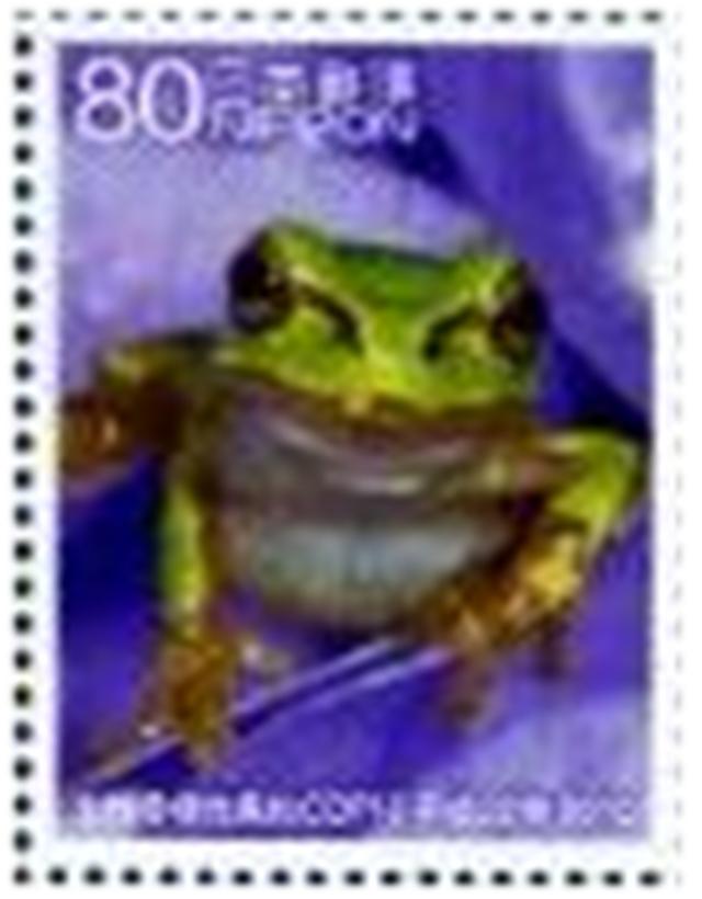 Timbre: Grenouille
