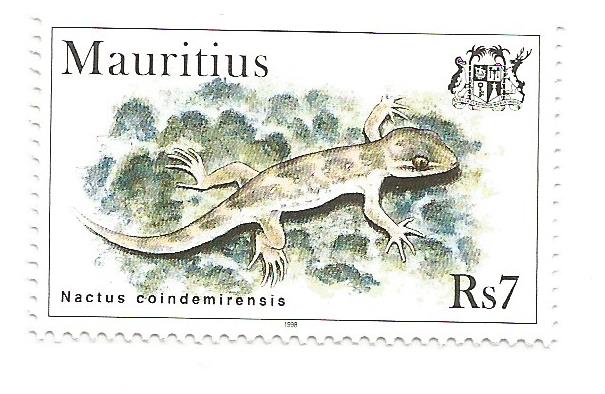 Timbre: Nactus coindemirensis